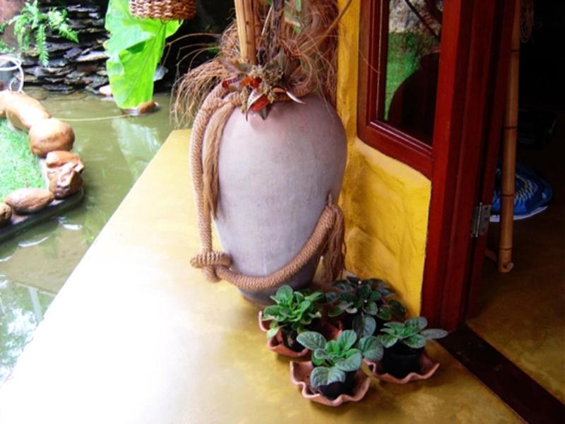 Pousada Bambu Brasil São Jorge Exterior foto